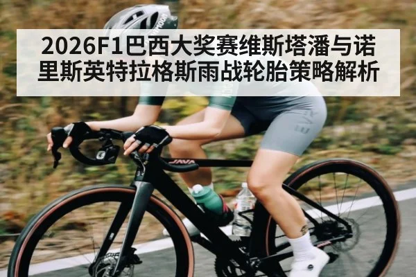 2026F1巴西大奖赛维斯塔潘与诺里斯英特拉格斯雨战轮胎策略解析